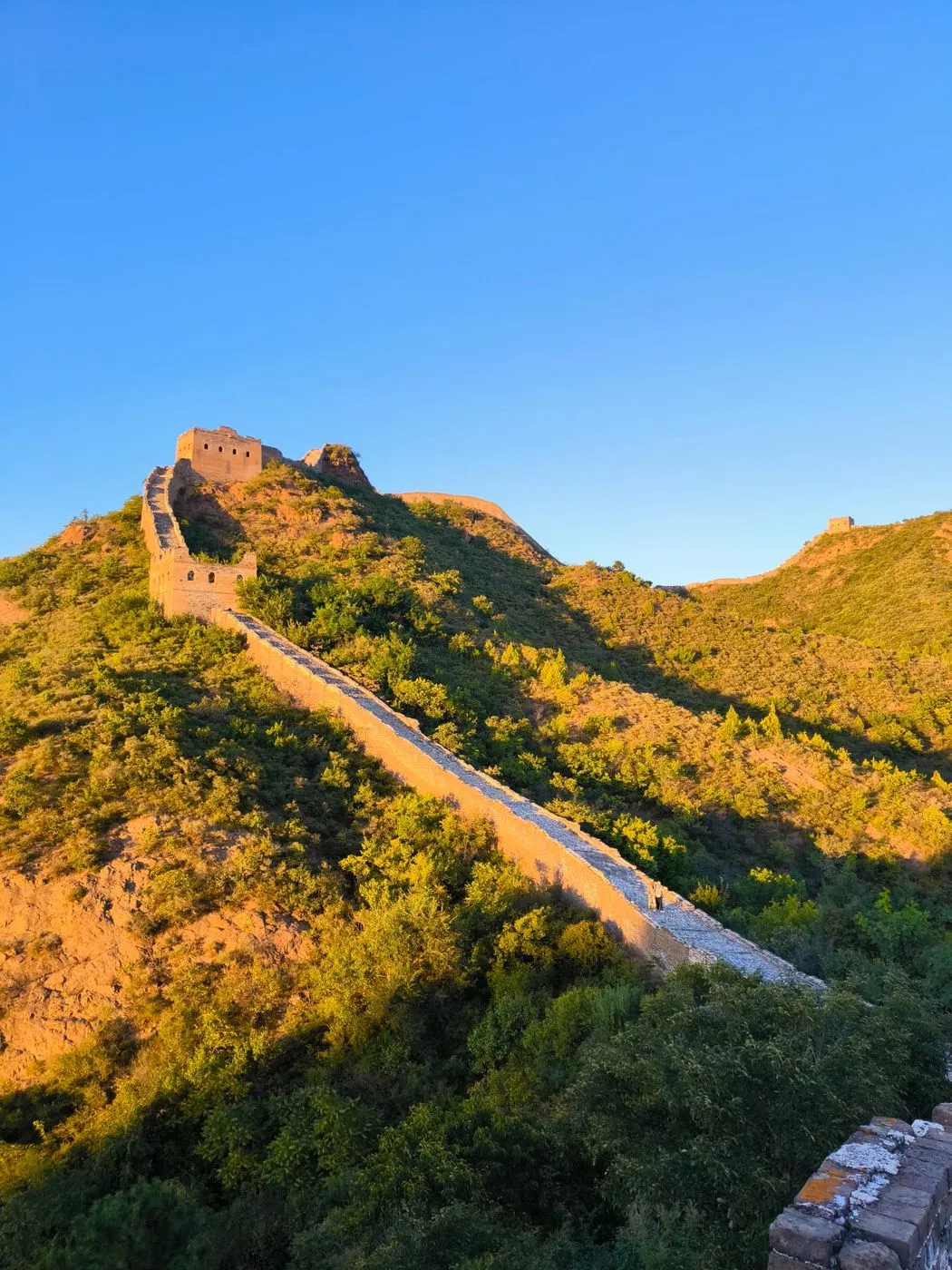 La Grande Muraille de Chine serpentant sur les crêtes boisées