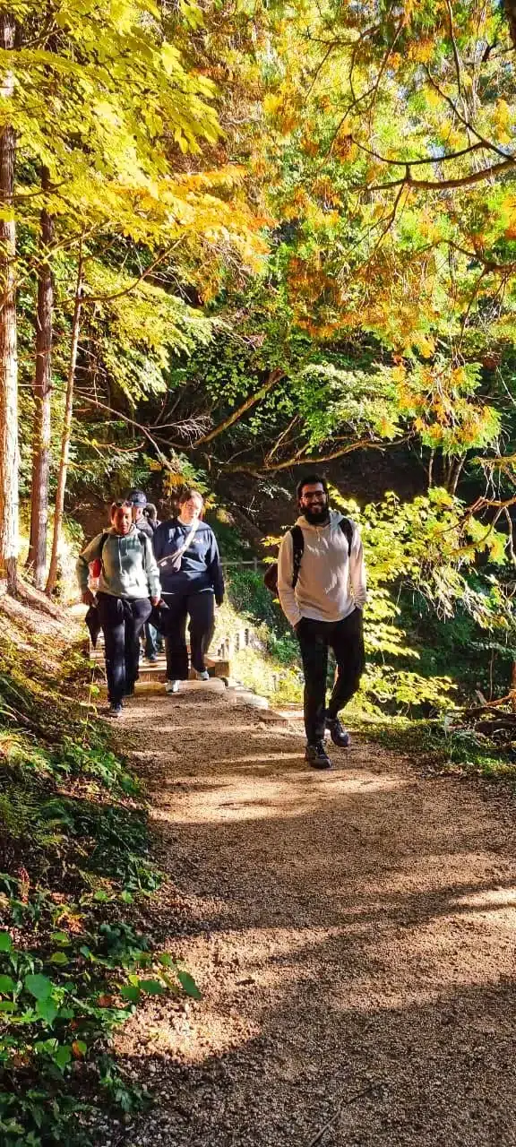 Voyageurs Momiji Travel en randonnée sur un sentier forestier aux couleurs d’automne