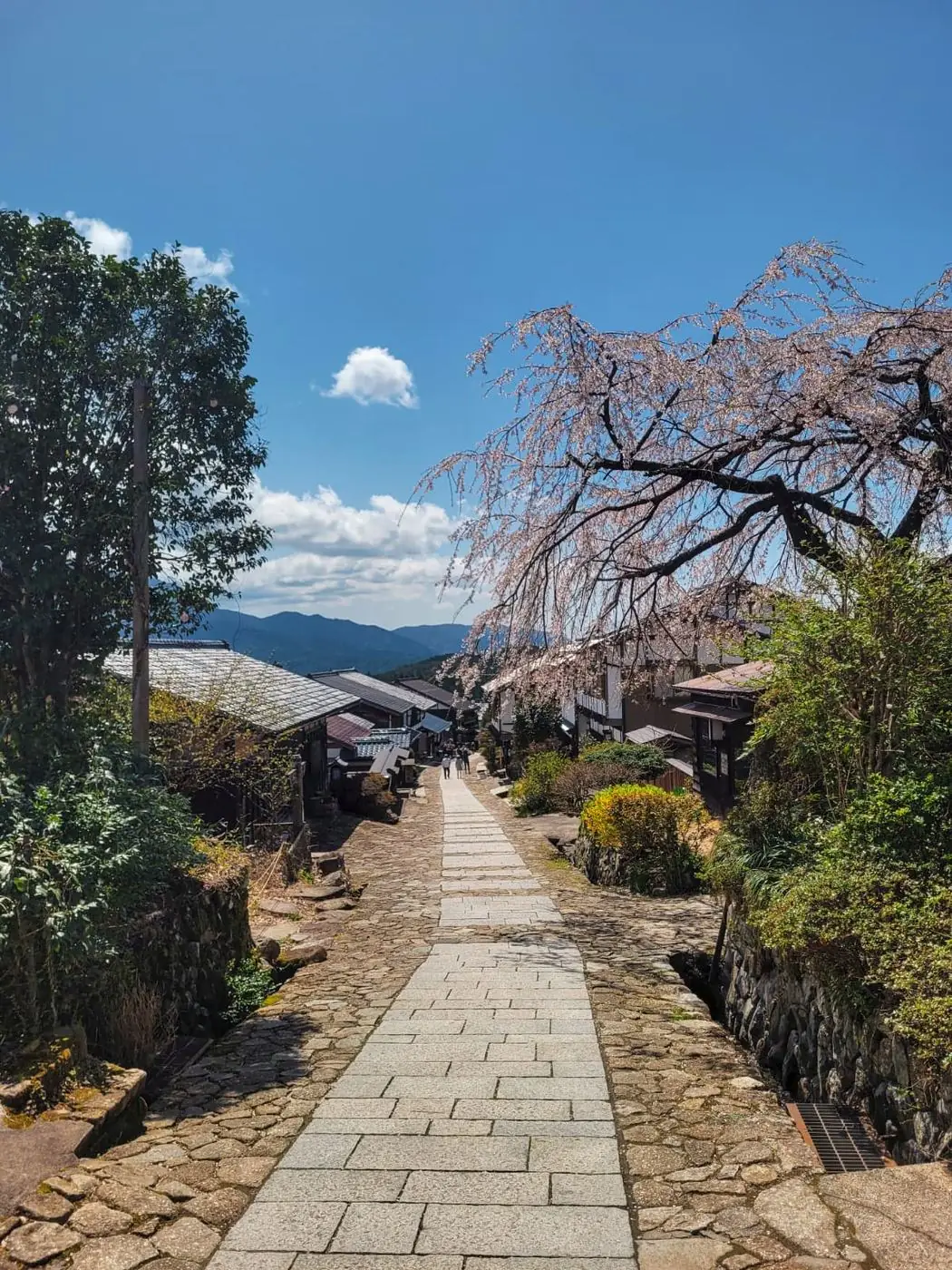 Ruelle de Magome sous les cerisiers en fleurs