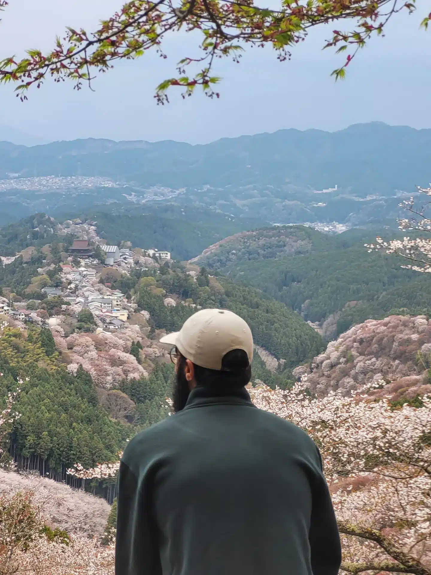 Sofian, fondateur de Momiji Travel, contemplant les cerisiers en fleurs de Yoshino