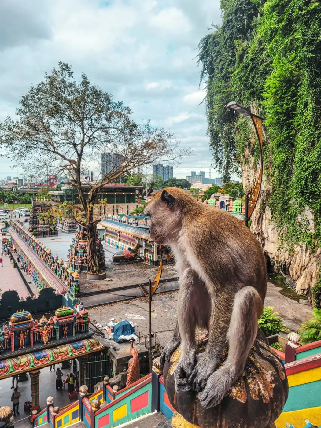 Escaliers colorés des Batu Caves