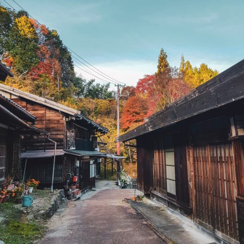 Momiji – L’automne au Japon Momiji - L'automne au Japon